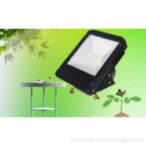 80W COB led outdoor flood lights,IP65,CE ROHS ,Garden lighting